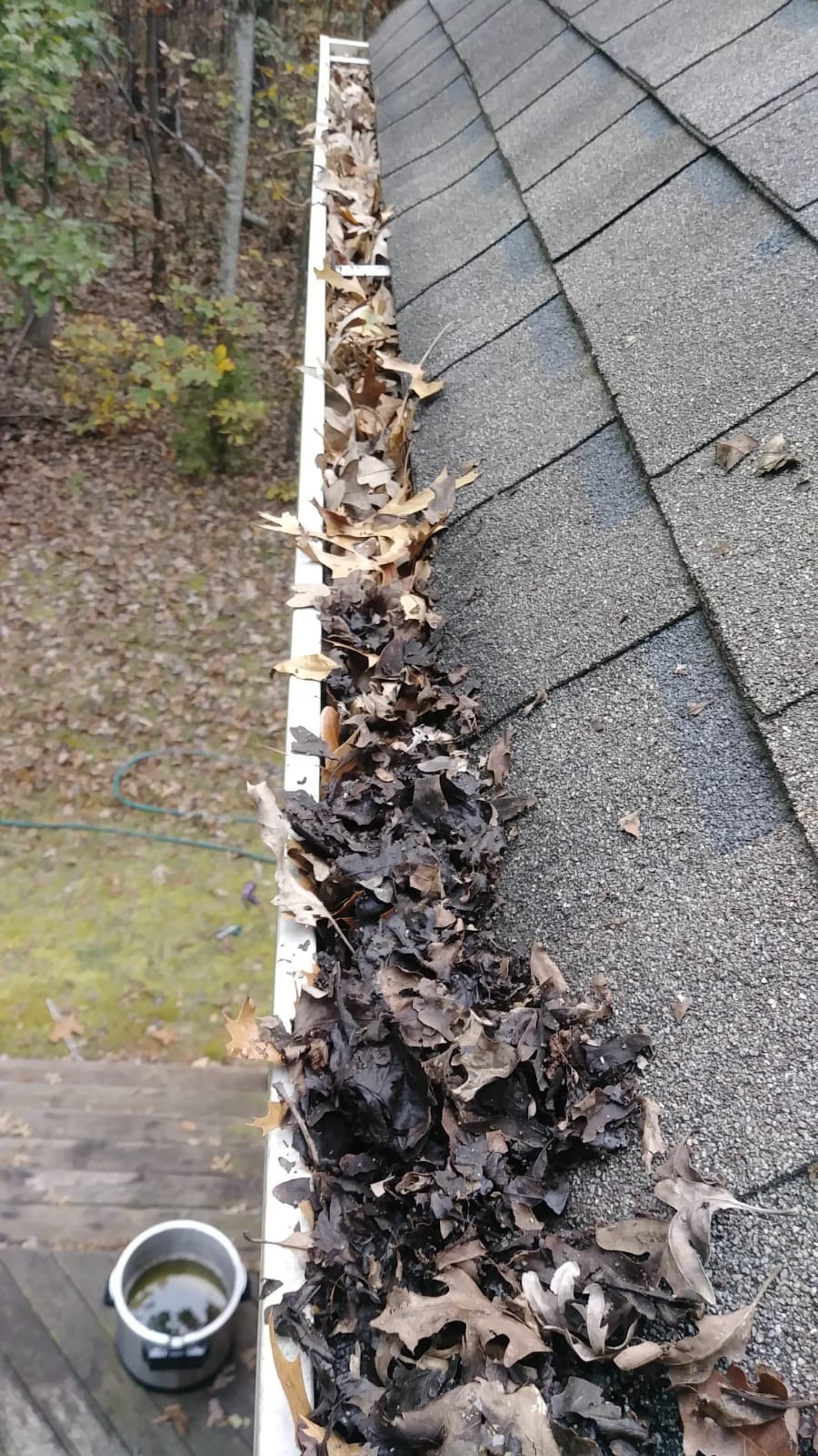 Clean Pro Gutter Cleaning Gladstone Image